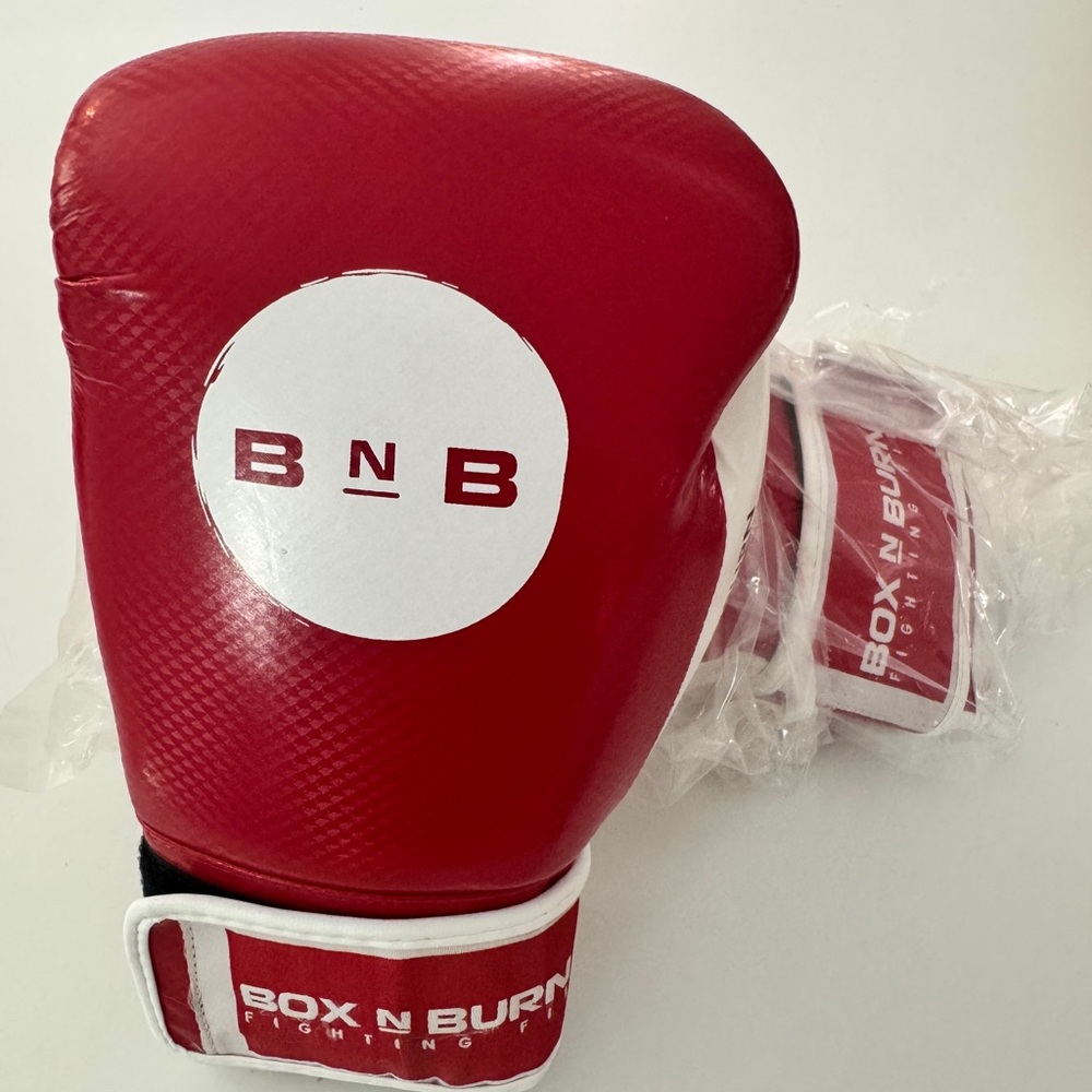 Box N Burn Boxing Gloves